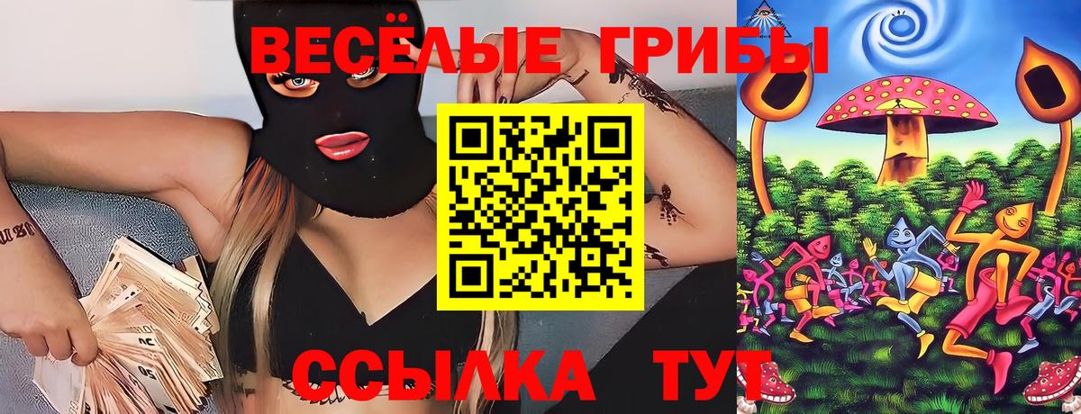 Псилоцибиновые грибы Cubensis  Вход с VPN  Галлюциногенные грибы мухоморы  Свободный 