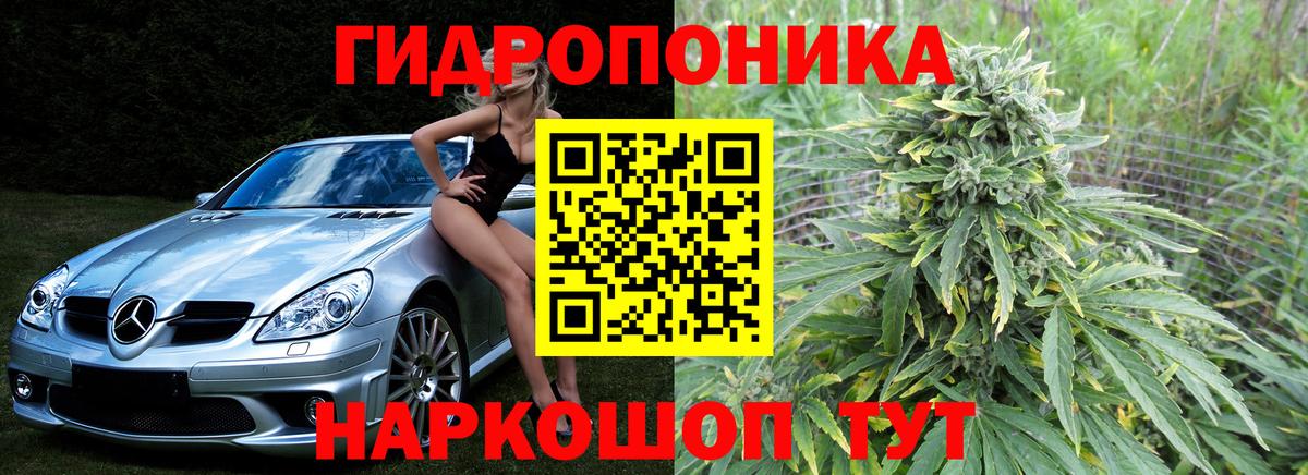 Шишки марихуана гибрид Свободный